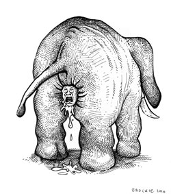Elephant Buttplug